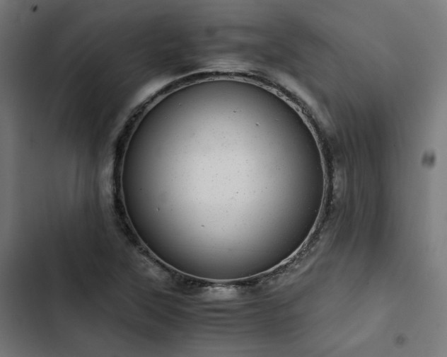 X0000103271315200809051458
