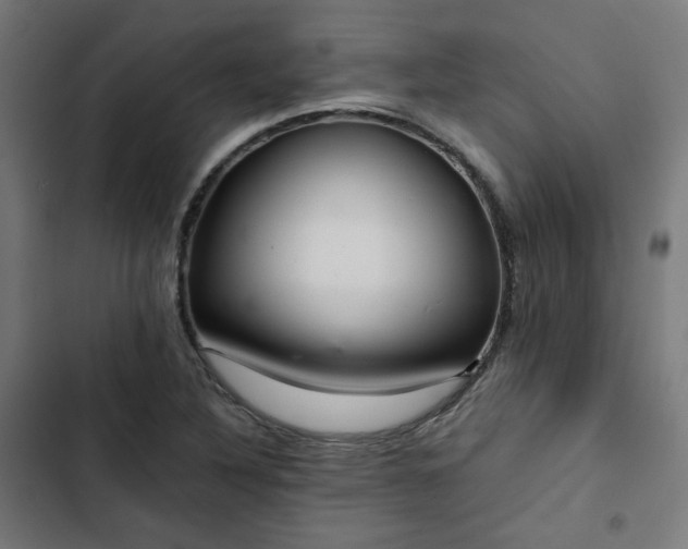X0000103271316200809051458