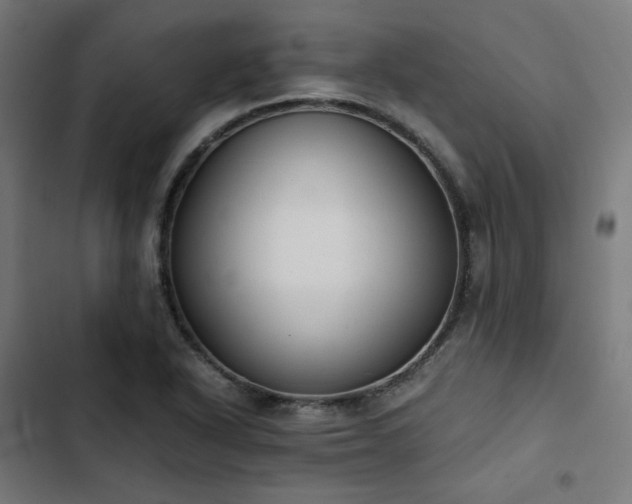 X0000103271318200809051458