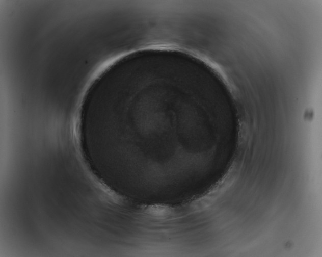 X0000103271319200809051458
