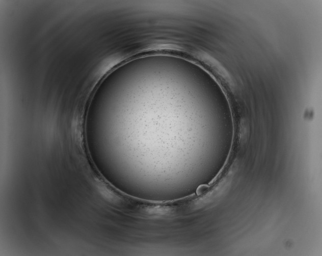 X0000103271321200809051458