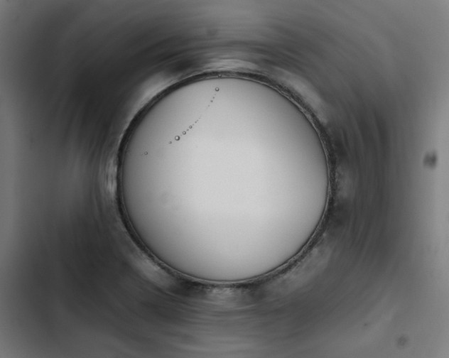 X0000103271322200809051458