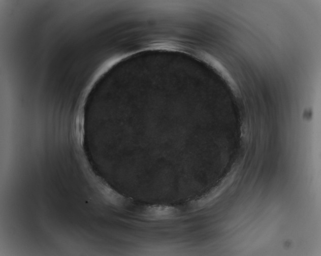 X0000103271323200809051458