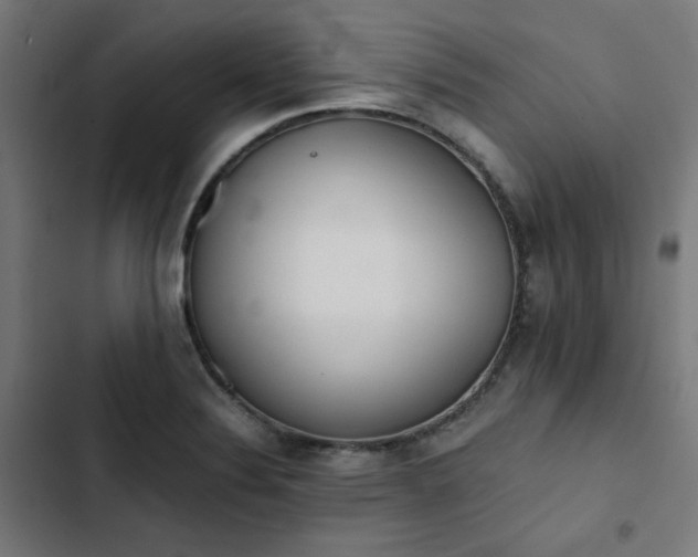 X0000103271324200809051458
