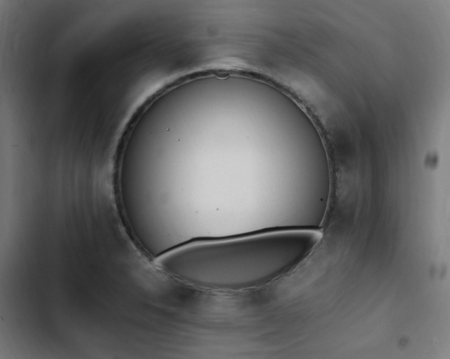 X0000103271326200809051458