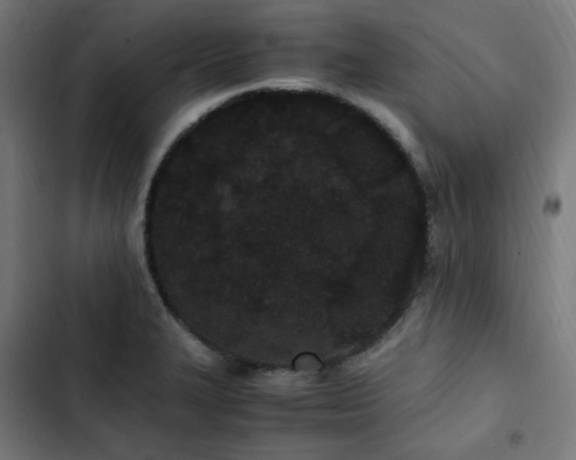 X0000103271327200809051458