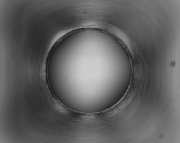 X0000103271328200809051458