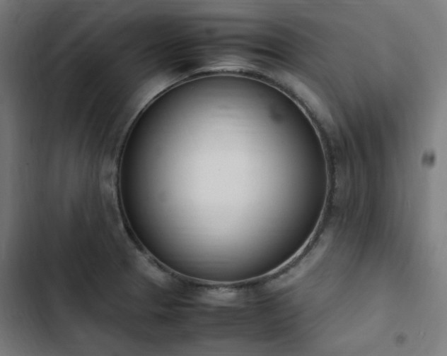 X0000103271329200809051458
