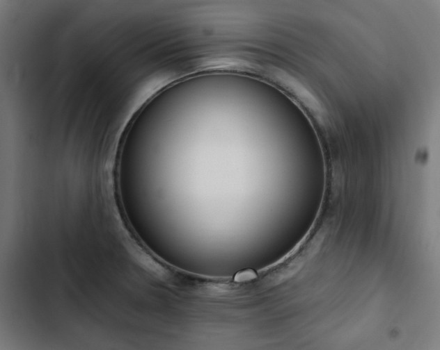 X0000103271330200809051458