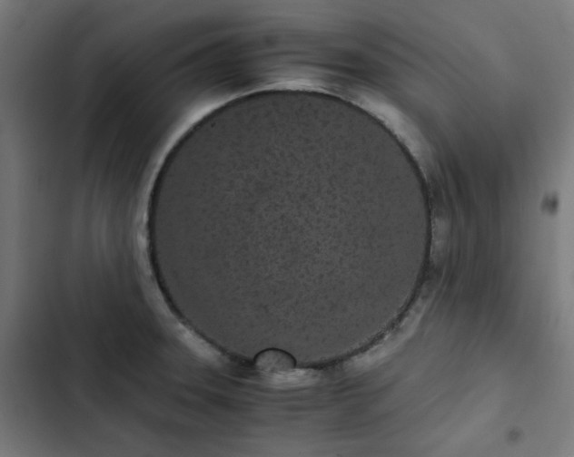 X0000103271331200809051458
