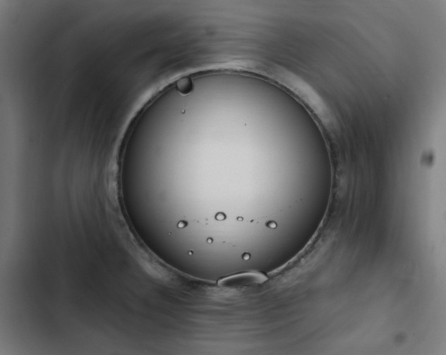 X0000103271332200809051458