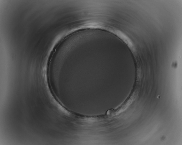 X0000103271334200809051458