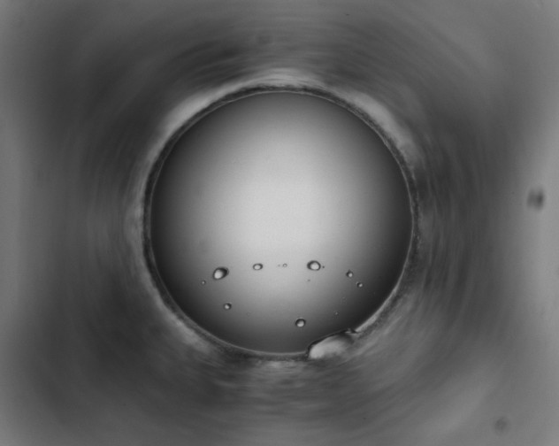 X0000103271335200809051458