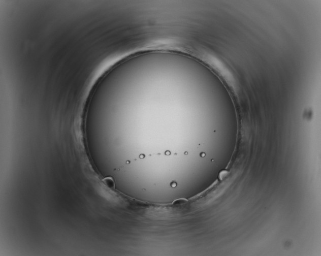 X0000103271336200809051458