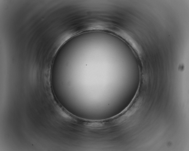 X0000103271337200809051458