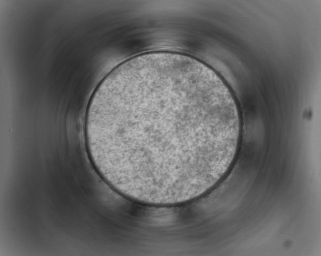 X0000103271338200809051458