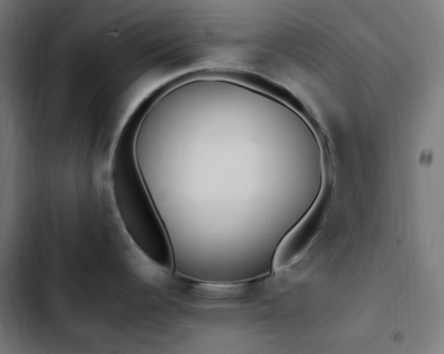 X0000103271344200809051458