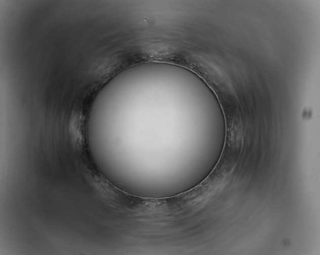 X0000103271346200809051457