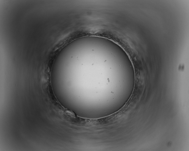 X0000103271349200809051457