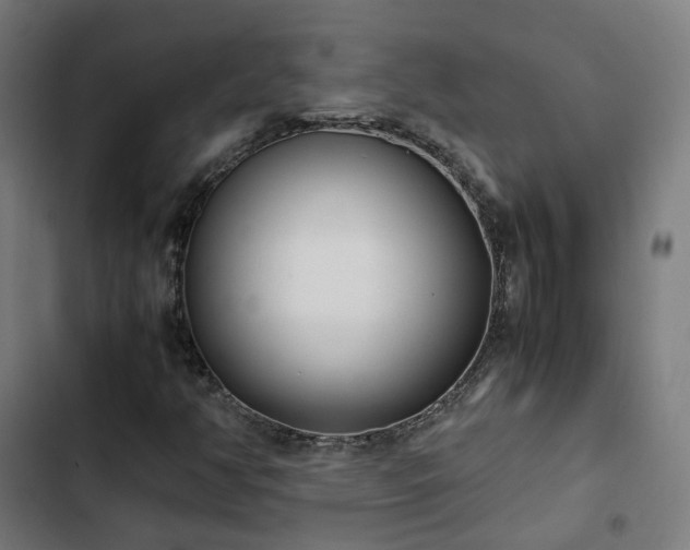 X0000103271350200809051457