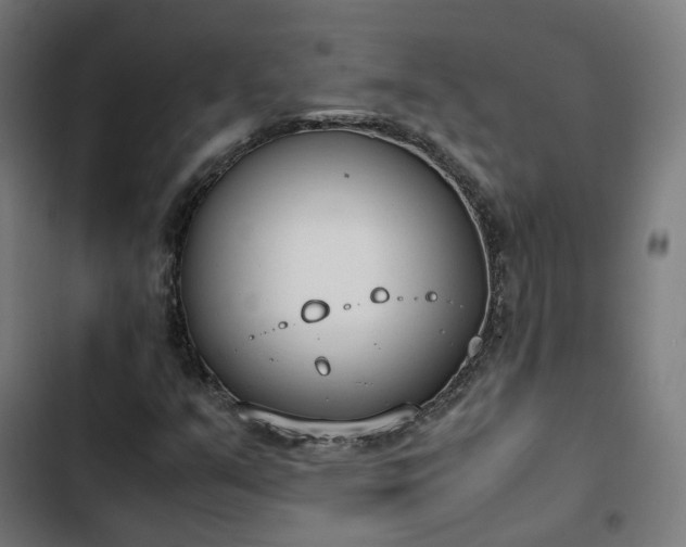X0000103271351200809051457