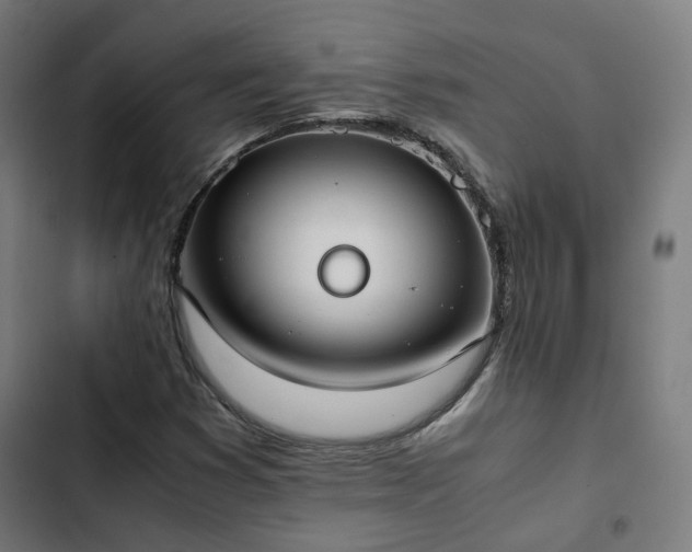 X0000103271353200809051457