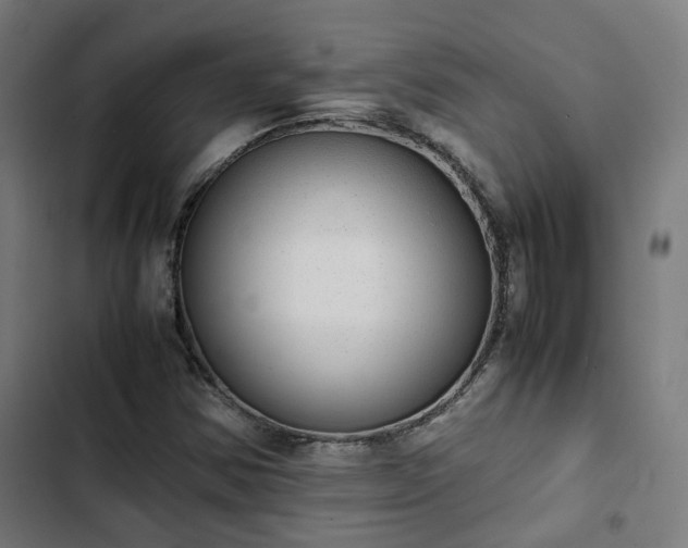 X0000103271354200809051457