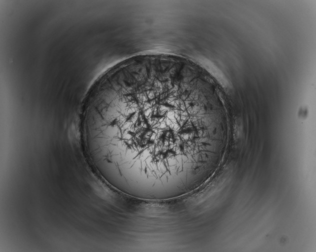 X0000103271356200809051457
