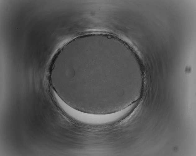 X0000103271357200809051457