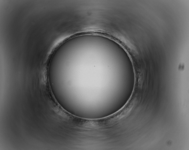 X0000103271358200809051457