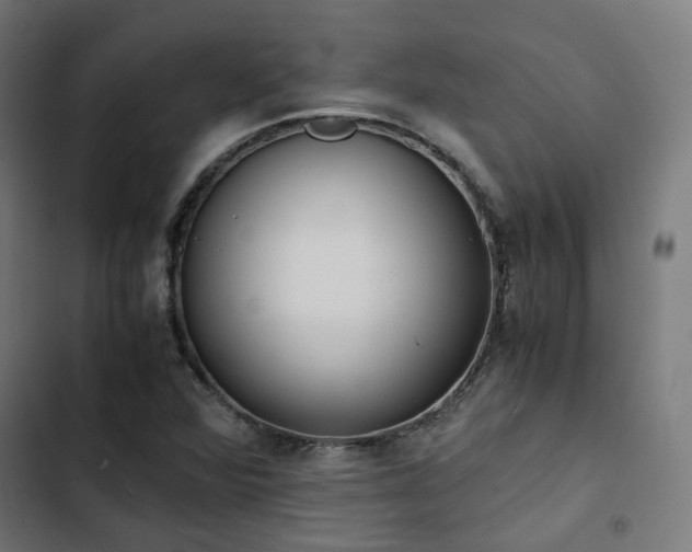 X0000103271360200809051457