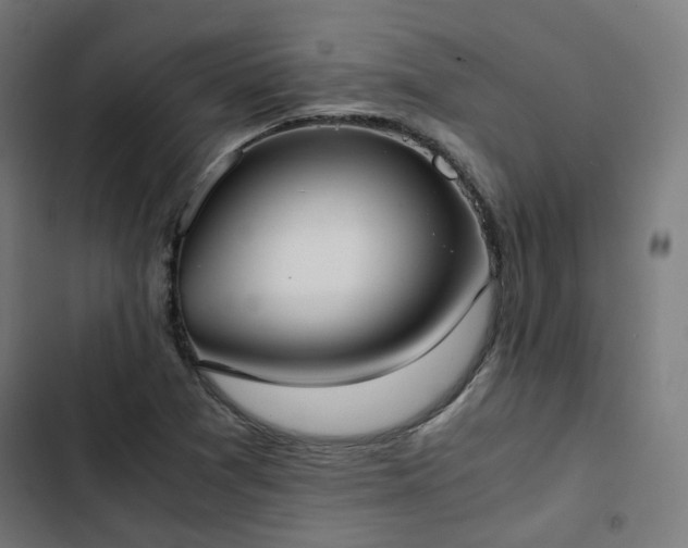 X0000103271361200809051457