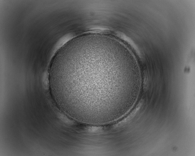 X0000103271362200809051457