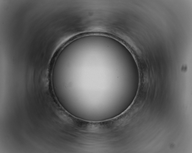 X0000103271364200809051457