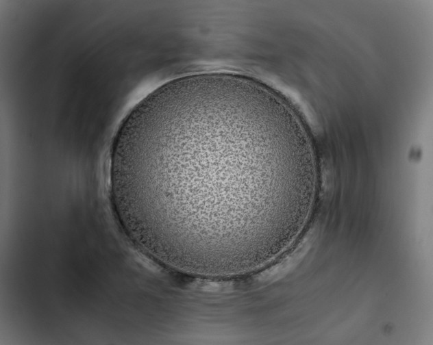 X0000103271365200809051457