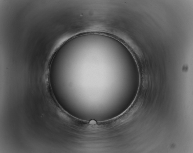 X0000103271366200809051457
