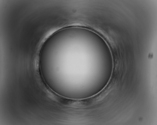 X0000103271367200809051457