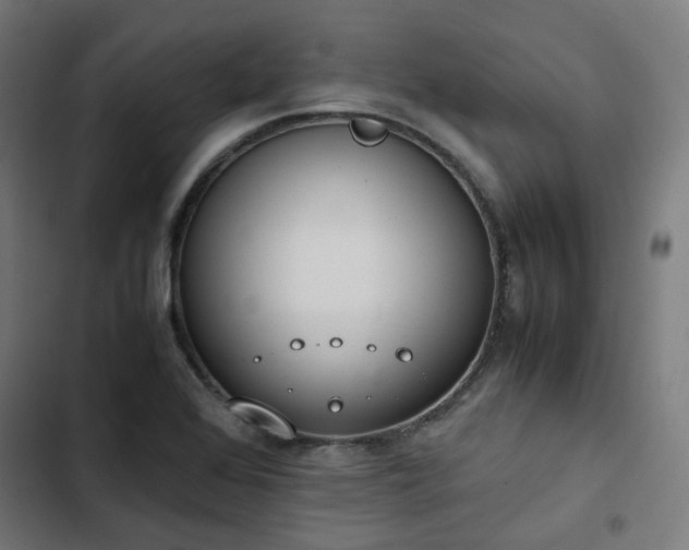 X0000103271368200809051457