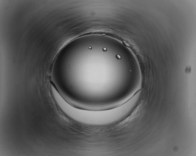 X0000103271369200809051457