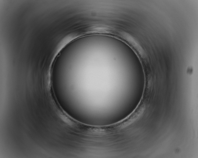 X0000103271370200809051457