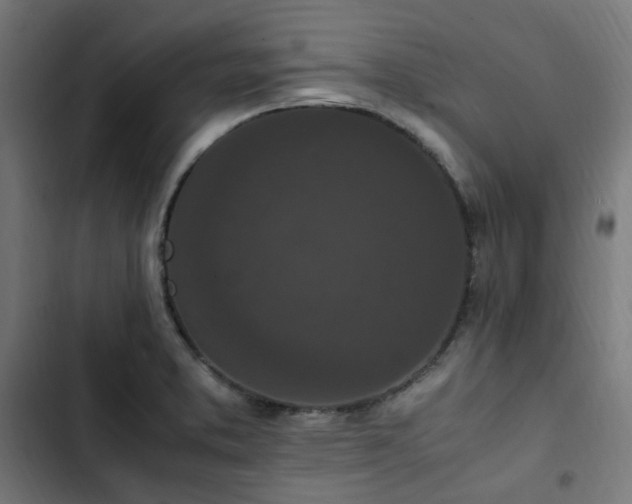 X0000103271373200809051457