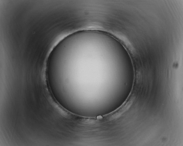 X0000103271374200809051457