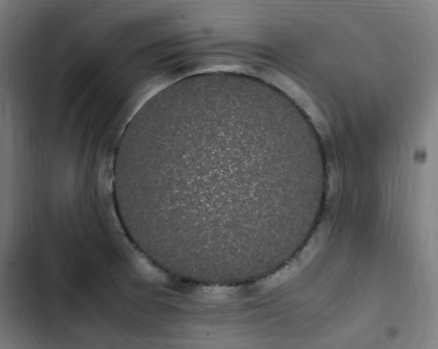 X0000103271377200809051457