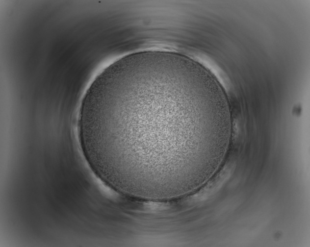 X0000103271379200809051457
