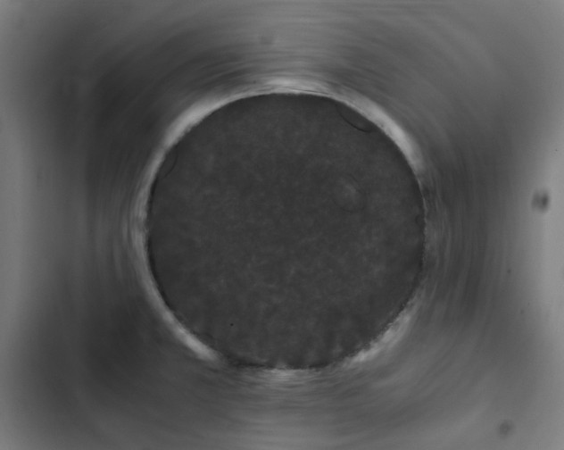 X0000103271381200809051457