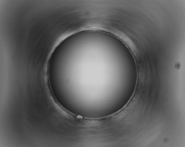 X0000103271382200809051457