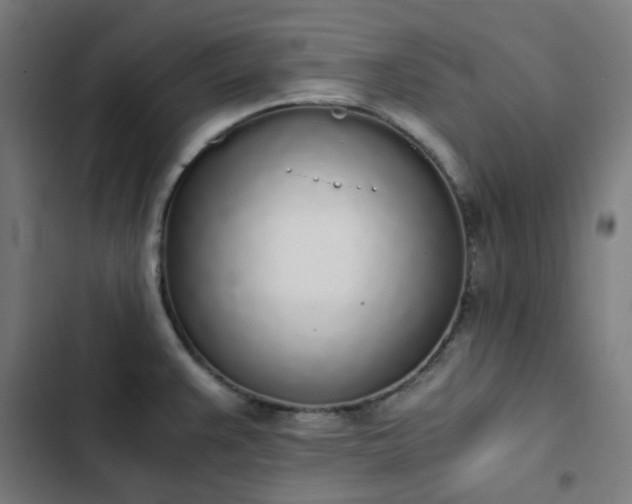 X0000103271383200809051457