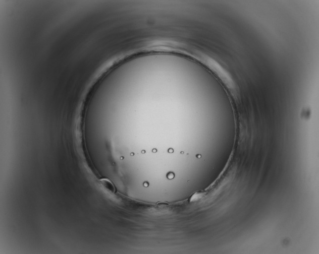 X0000103271384200809051457