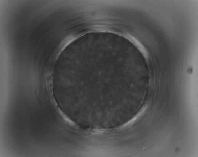 X0000103271385200809051457