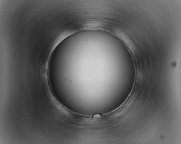 X0000103271386200809051457